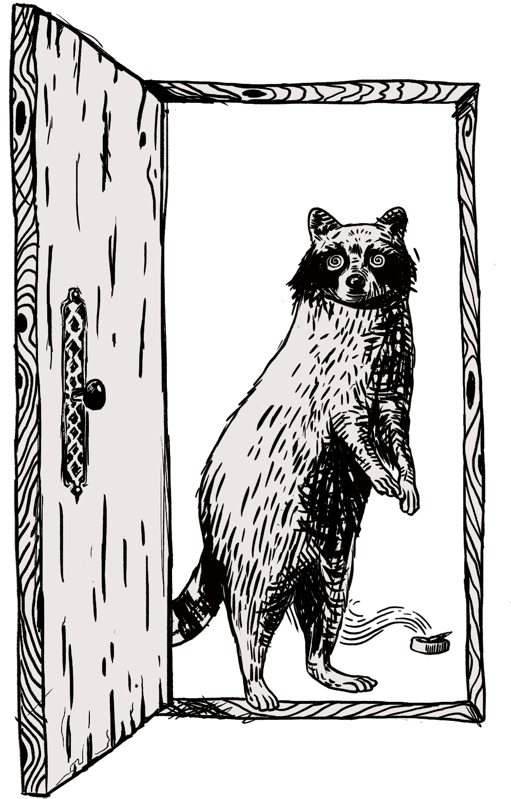 Mapache
