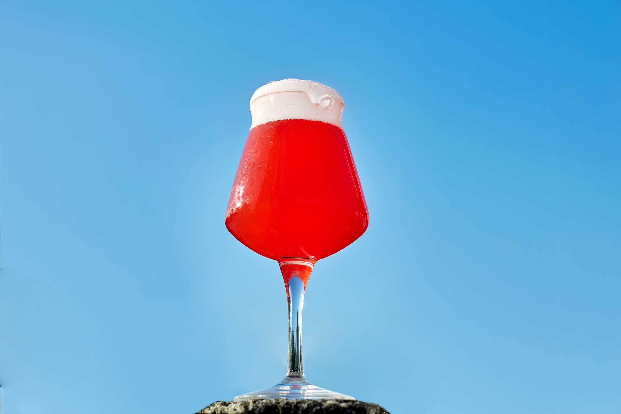 Un sensual ejemplar de Rubén y Rubí, una de nuestras sours frutadas más queridas.