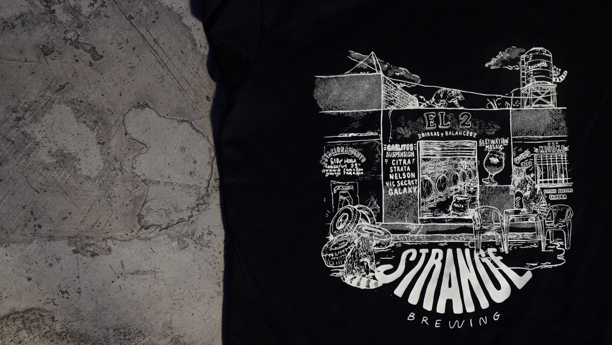 Remera Chacra Negro - box