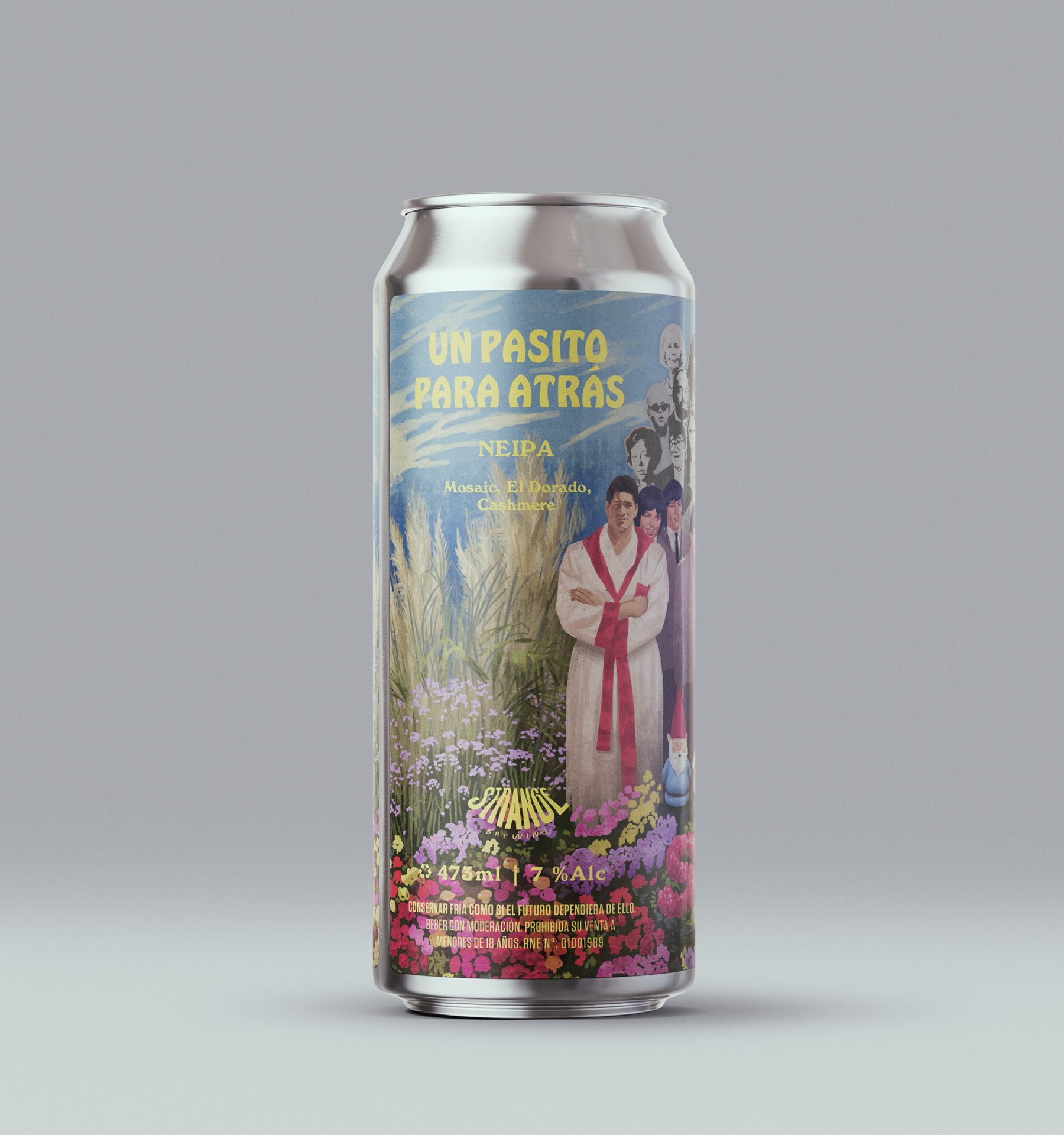 Un Pasito para Atrás - NEIPA
